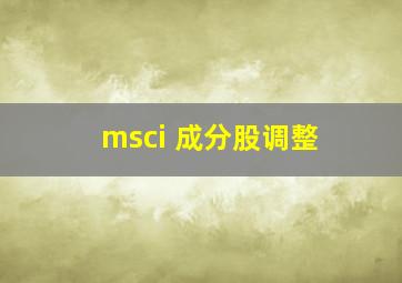 msci 成分股调整